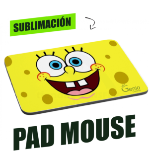 Pad Mouse 2